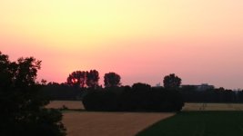 DSC_0533.JPG