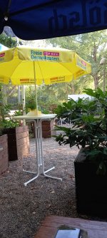 IMG-20220824-WA0010.jpg IMG-20220824-WA0010.jpg