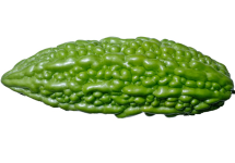 Mara 1.png