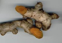 Curcuma 5.jpg