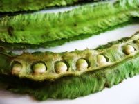 winged bean 2.jpg