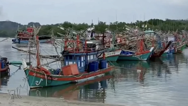 fischboote.png