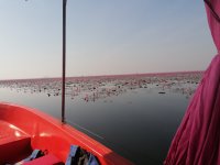 IMG_20230123_095003.jpg
