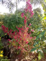 IMG_20201219_083533_0.jpg