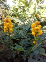 IMG_20201219_084034_4.jpg