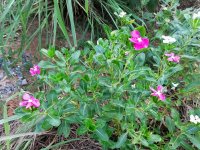 IMG_20210919_174430.jpg