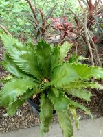 IMG_20201219_115249_2.jpg