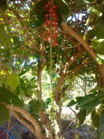 IMG_20191201_092140_6.jpg