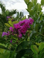 IMG_20210919_173938.jpg
