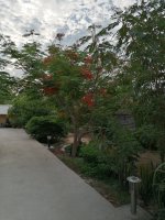 IMG_20220506_173408.jpg