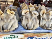 IMG_1613-Schweineköpfe 900.jpg