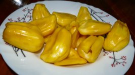 P1030592 -Jackfruit 900.jpg