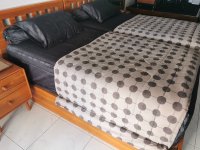 IMG_20240420_084624.jpg