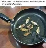 FB_IMG_1718807529454.jpg