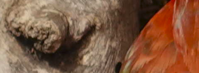 Bildschirmfoto vom 2024-08-12 12-59-33.png