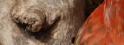 Bildschirmfoto vom 2024-08-12 12-59-45.png