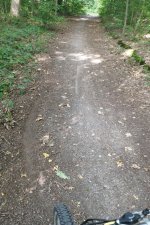 IMG_20240826_190158.jpg