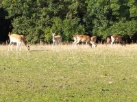 IMG_20240826_174006.jpg