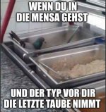 IMG_6074.jpeg