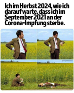 1728237080433.png