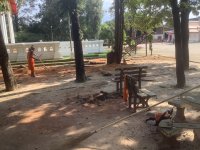 IMG_0724.jpeg