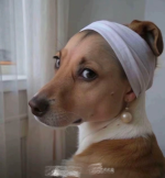 1729462885557.png