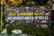 P1080992 golden Mount klein.jpg