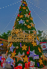 D-_Bilder_2024-00-Bilder---Stand--2024-1117_2024-1023-1218-Thailand-Heinz_2024-1120-1126-Chian...gif