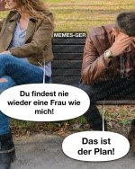 der plan.jpg