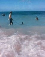 IMG_8964.jpeg