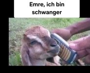 WhatsApp Image 2025-02-15 at 08.23.45_66bd7bd4.jpg