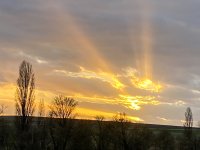 Sonnenuntergang in Rheinhessen.jpg