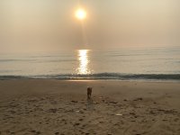 IMG_1857.jpeg