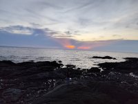 IMG_20250424_183359.jpg