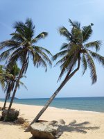 IMG_20250317_114819.jpg
