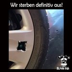 FB_IMG_1748237134325.jpg