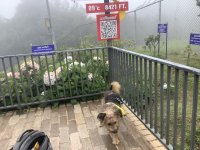 IMG_2204.jpeg