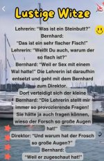 zugeschaut.jpg