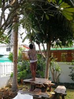 IMG_20240211_102157.jpg