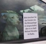 1000026585.jpg 1000026585.jpg