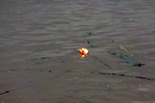 P1090724 Ein Schiffchen.jpg P1090724 Ein Schiffchen.jpg