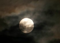 P1090774-Loy kratong Mond-3.jpg P1090774-Loy kratong Mond-3.jpg