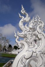 P1090952 Trompetender Elefant.jpg