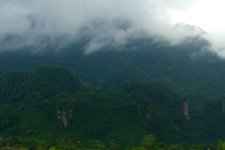 P1090905-Urwald Mae Sai.jpg