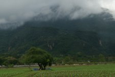 P1090911 dichte Nebelschwaden.jpg