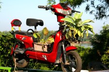 P1100271 rotes Motorradblumen.jpg