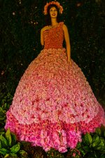 P1220429-Rosenlady 600.jpg