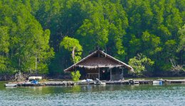 P1110911-zu vermieten klein.jpg