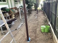 IMG_3187.jpeg
