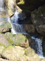 IMG_20260228_120327.jpg